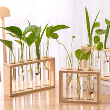 Charger l'image dans la galerie, vase en verre pour propagation des plantes