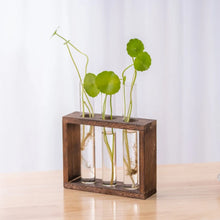 Charger l'image dans la galerie, vase en verre pour propagation des plantes