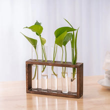 Charger l'image dans la galerie, vase en verre pour propagation des plantes