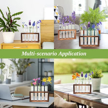 Charger l'image dans la galerie, vase en verre pour propagation des plantes