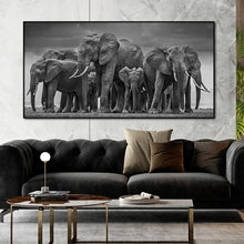 Charger l'image dans la galerie, Canvas Éléphant
