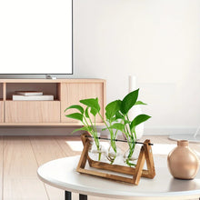 Charger l'image dans la galerie, terrarium en verre et en bois
