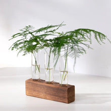 Charger l'image dans la galerie, vase en verre pour propagation des plantes
