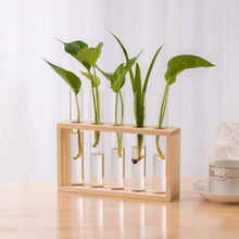 Charger l'image dans la galerie, vase en verre pour propagation des plantes
