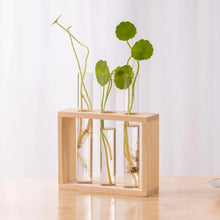 Charger l'image dans la galerie, vase en verre pour propagation des plantes

