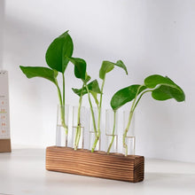Charger l'image dans la galerie, vase en verre pour propagation des plantes
