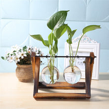 Charger l'image dans la galerie, terrarium en verre et en bois
